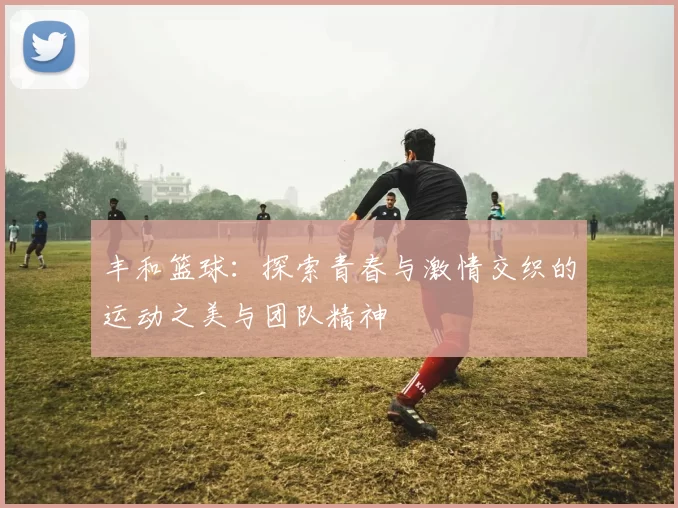 丰和篮球：探索青春与激情交织的运动之美与团队精神