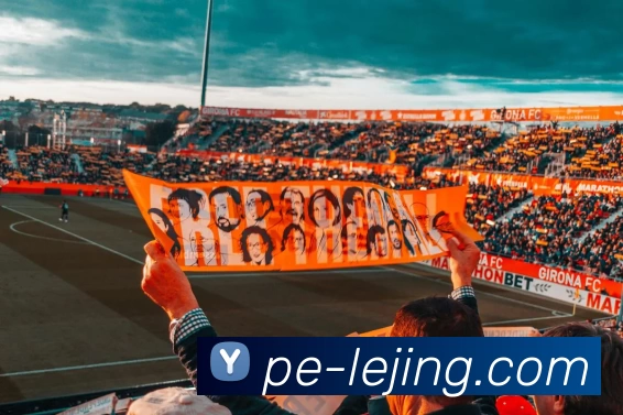 数据防护可视化